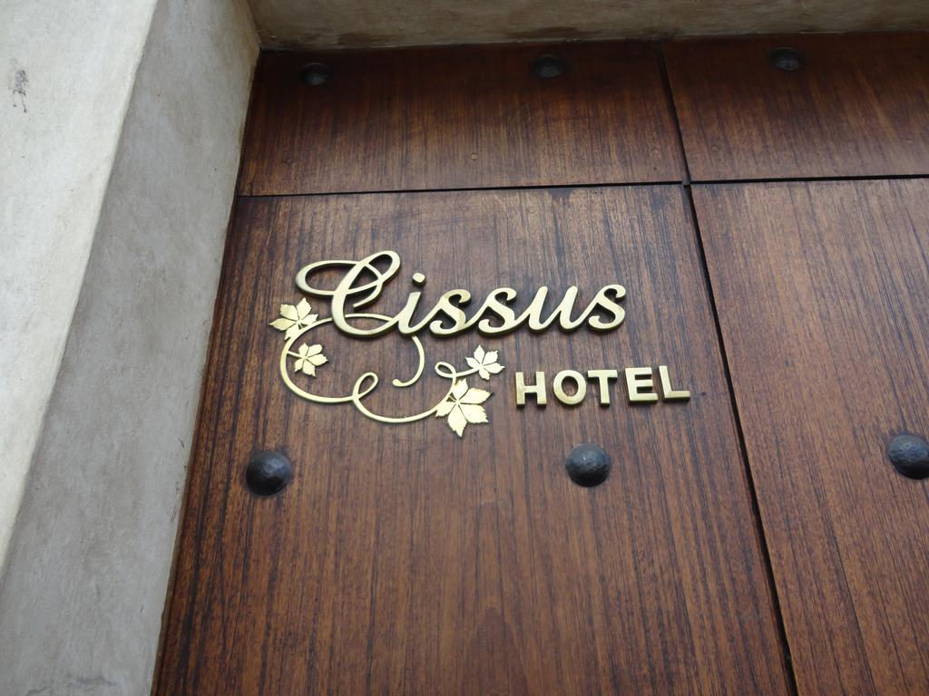Cissus Hotel Boutique (Adults Only) Antigua Pokoj fotografie