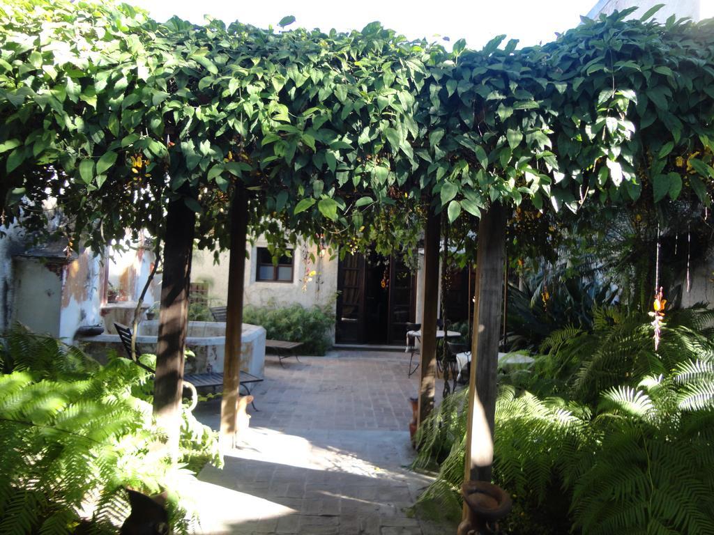 Cissus Hotel Boutique (Adults Only) Antigua Exteriér fotografie