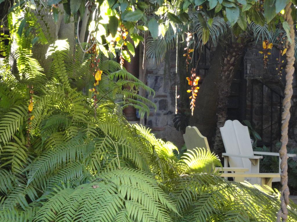 Cissus Hotel Boutique (Adults Only) Antigua Exteriér fotografie