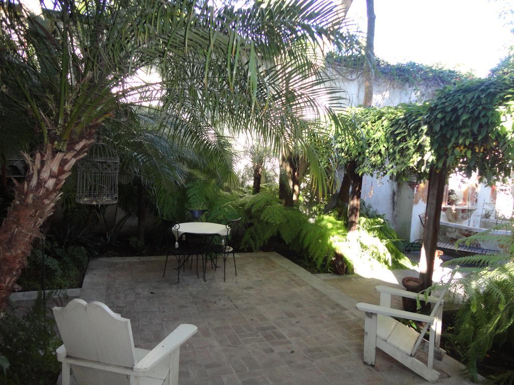 Cissus Hotel Boutique (Adults Only) Antigua Exteriér fotografie