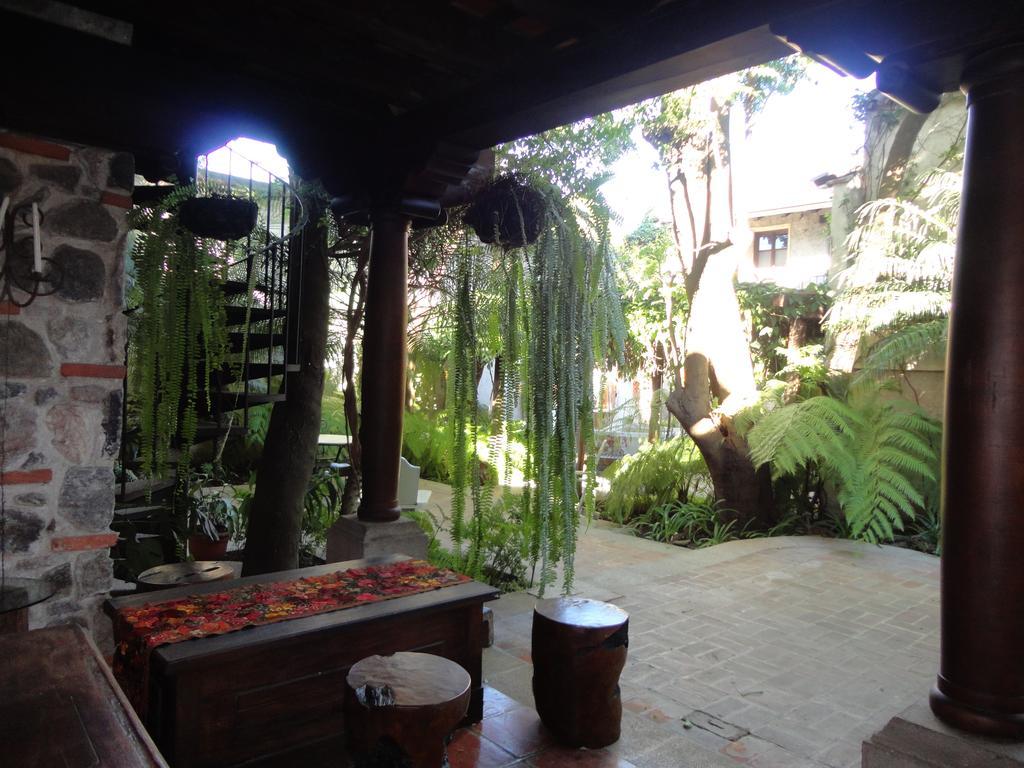 Cissus Hotel Boutique (Adults Only) Antigua Exteriér fotografie