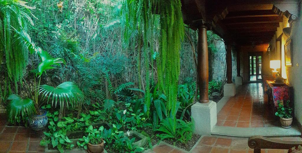 Cissus Hotel Boutique (Adults Only) Antigua Exteriér fotografie
