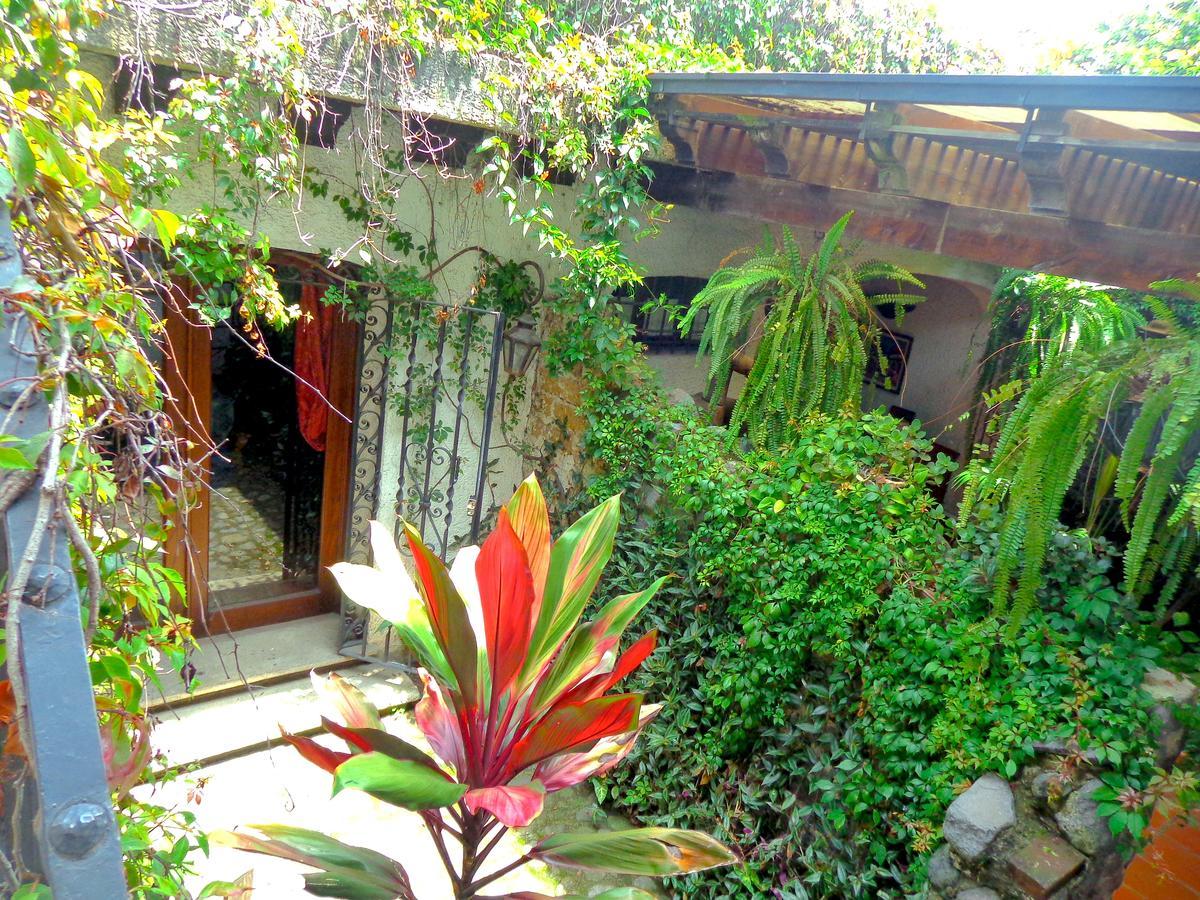 Cissus Hotel Boutique (Adults Only) Antigua Exteriér fotografie